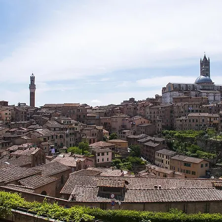 La Sapienza Di Al * Siena